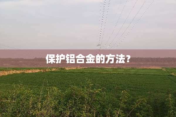 保护铝合金的方法？