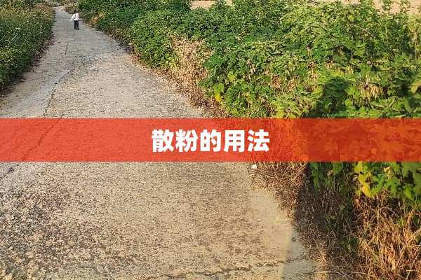 散粉的用法