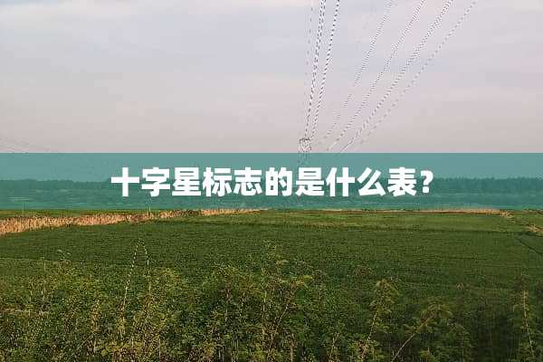 十字星标志的是什么表？