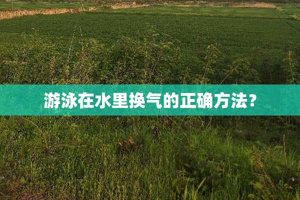 游泳在水里换气的正确方法？