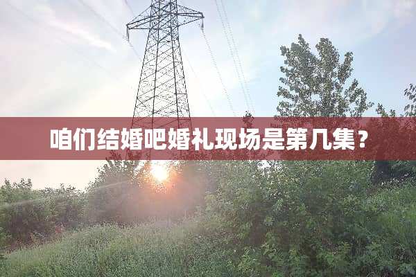 咱们结婚吧婚礼现场是第几集？