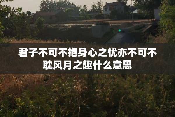 君子不可不抱身心之忧亦不可不耽风月之趣什么意思