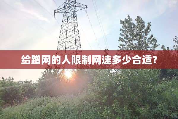 给蹭网的人限制网速多少合适？