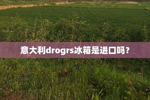 意大利drogrs冰箱是进口吗？