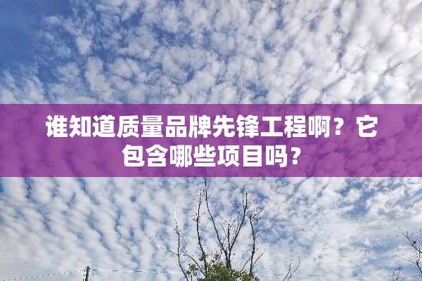 谁知道质量品牌先锋工程啊？它包含哪些项目吗？