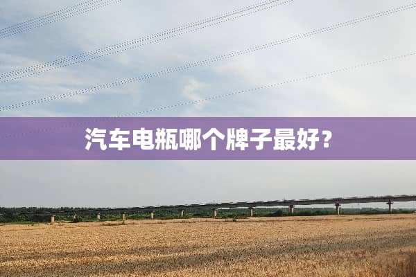 汽车电瓶哪个牌子最好？