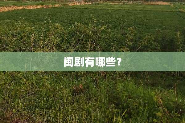 闽剧有哪些？