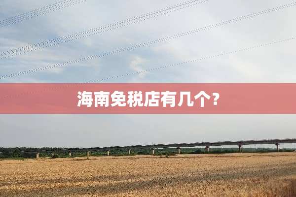 海南免税店有几个？