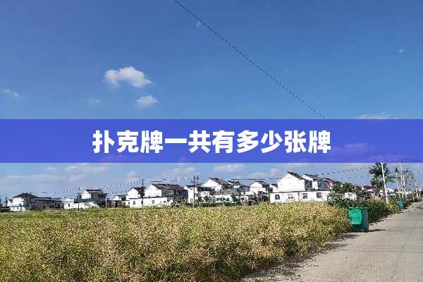 **牌一共有多少张牌