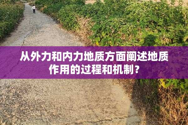从外力和内力地质方面阐述地质作用的过程和机制？