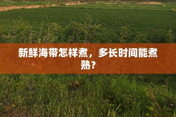 新鲜海带怎样煮，多长时间能煮熟？