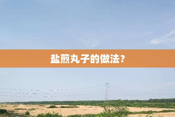 盐煎丸子的做法？