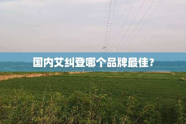 国内艾纠登哪个品牌最佳？