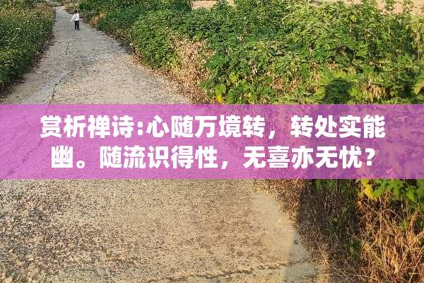 赏析禅诗:心随万境转，转处实能幽。随流识得性，无喜亦无忧？