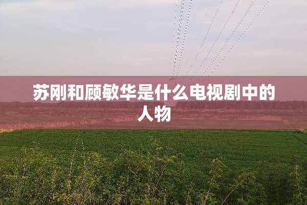 苏刚和顾敏华是什么电视剧中的人物