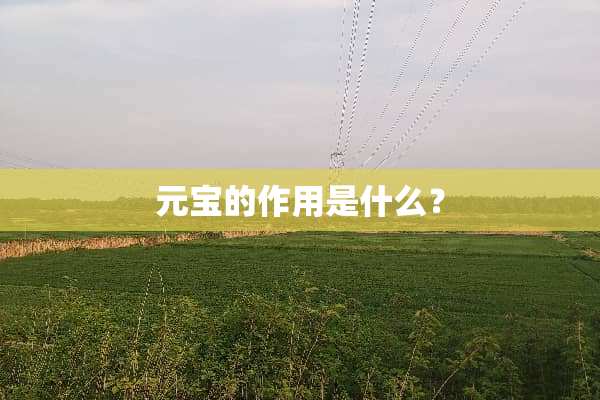 元宝的作用是什么？