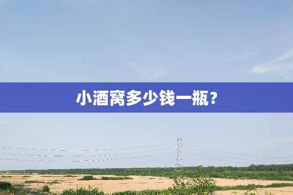 小酒窝多少钱一瓶？
