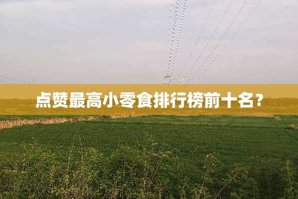 点赞最高小零食排行榜前十名？