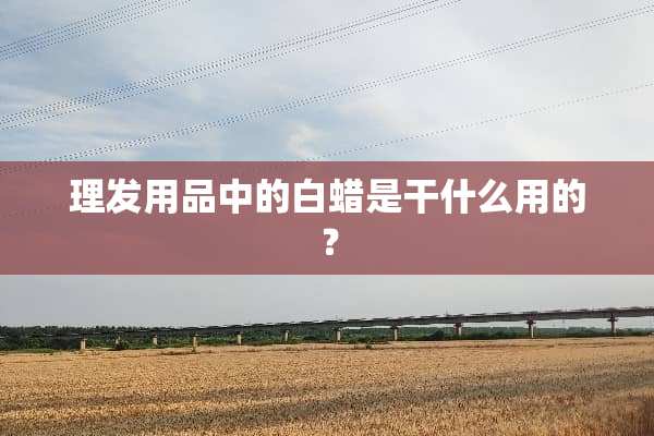 理发用品中的白蜡是干什么用的？