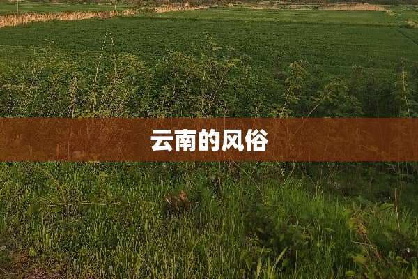 云南的风俗