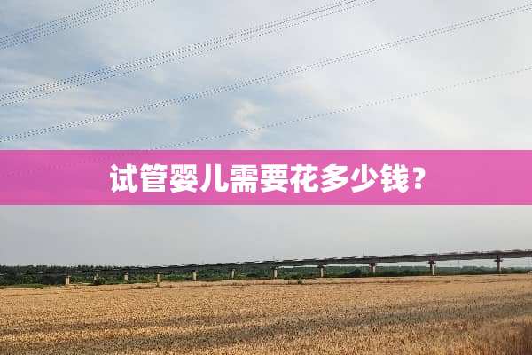 试管婴儿需要花多少钱？