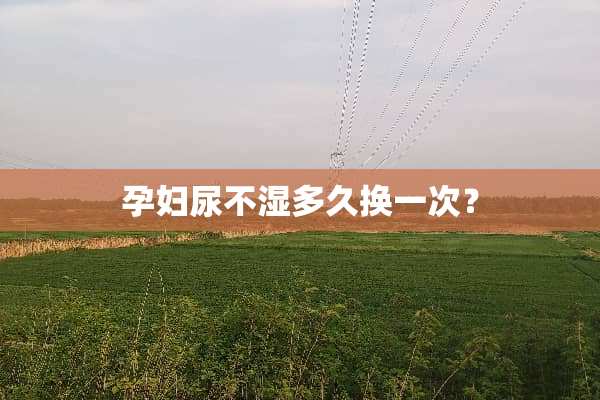 孕妇尿不湿多久换一次？