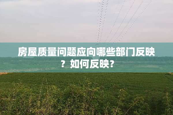 房屋质量问题应向哪些部门反映？如何反映？