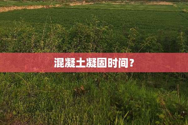 混凝土凝固时间？