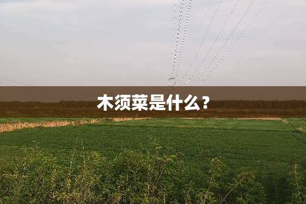 木须菜是什么？