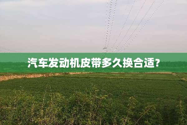 汽车发动机皮带多久换合适？