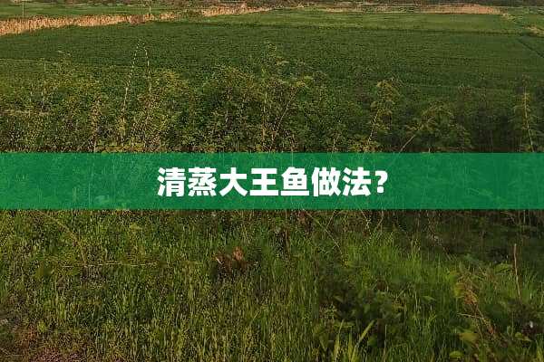 清蒸大王鱼做法？