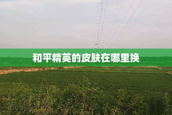 和平精英的皮肤在哪里换