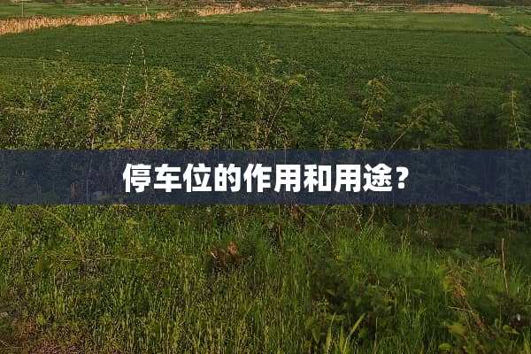 停车位的作用和用途？