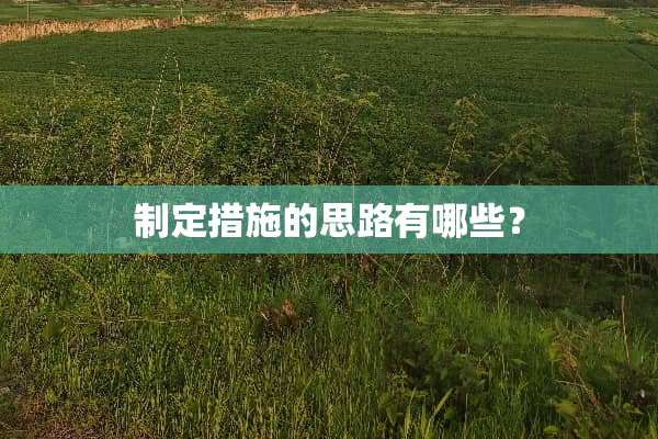 制定措施的思路有哪些？
