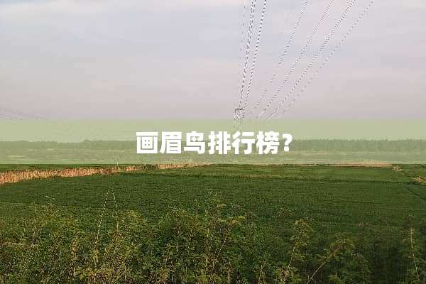 画眉鸟排行榜？