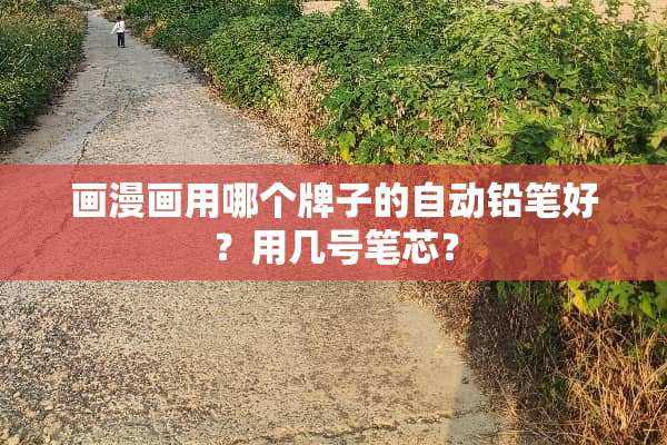 画漫画用哪个牌子的自动铅笔好？用几号笔芯？