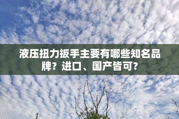 液压扭力扳手主要有哪些知名品牌？进口、国产皆可？