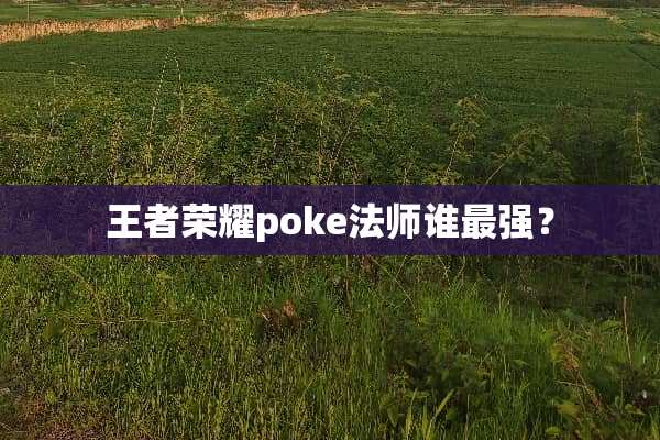 王者荣耀poke法师谁最强？