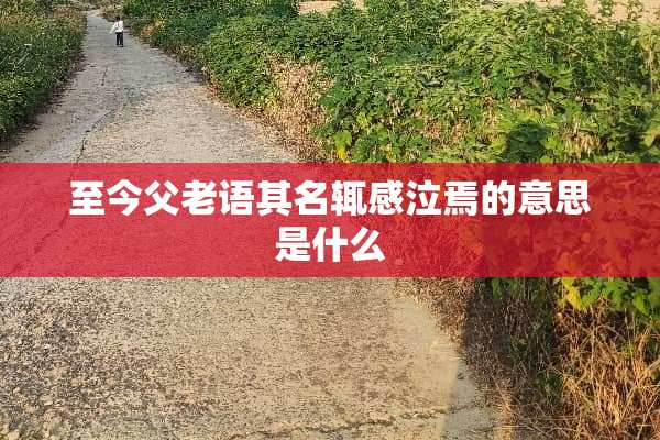 至今父老语其名辄感泣焉的意思是什么