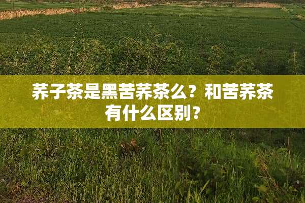 荞子茶是黑苦荞茶么？和苦荞茶有什么区别？