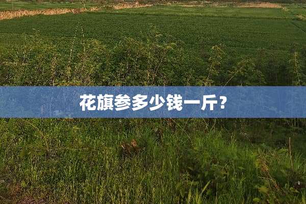 花旗参多少钱一斤？