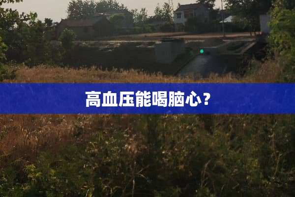 高血压能喝脑心？