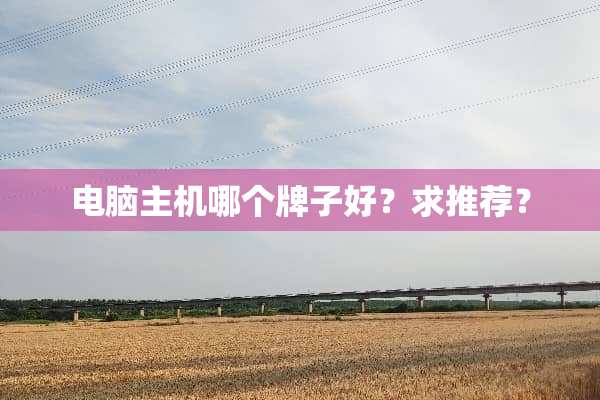 电脑主机哪个牌子好？求推荐？