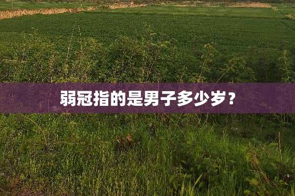 弱冠指的是男子多少岁？