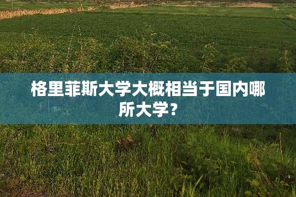 格里菲斯大学大概相当于国内哪所大学？