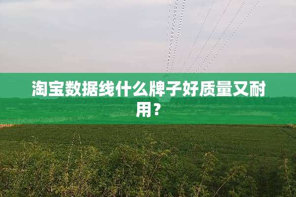 淘宝数据线什么牌子好质量又耐用？