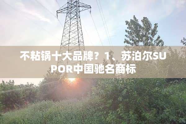 不粘锅十大品牌？1、苏泊尔SUPOR中国驰名商标