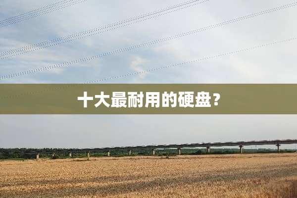 十大最耐用的硬盘？