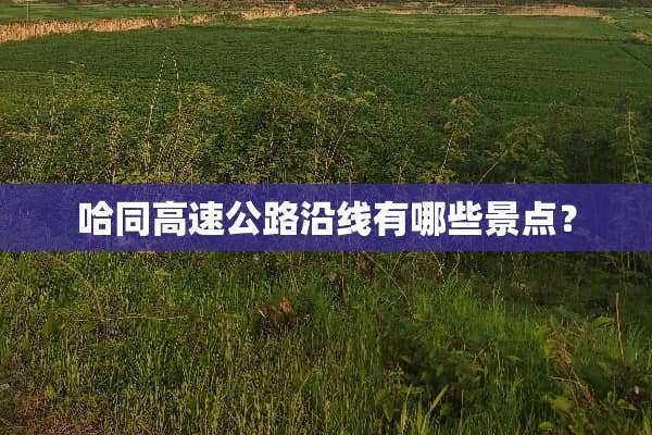 哈同高速公路沿线有哪些景点？