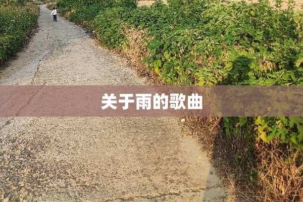 关于雨的歌曲